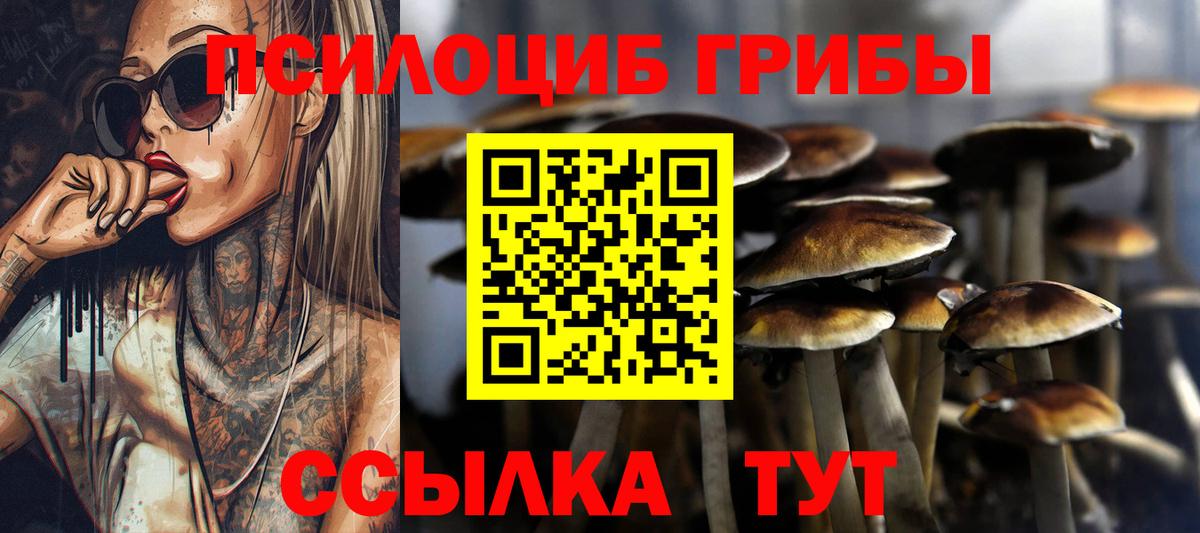 Миллерово  Псилоцибиновые грибы мухоморы  Вход с VPN 